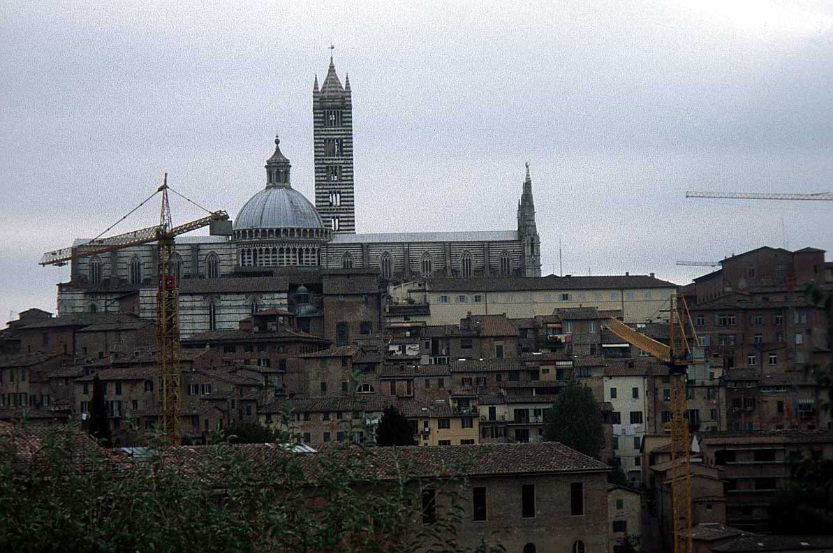 010 siena