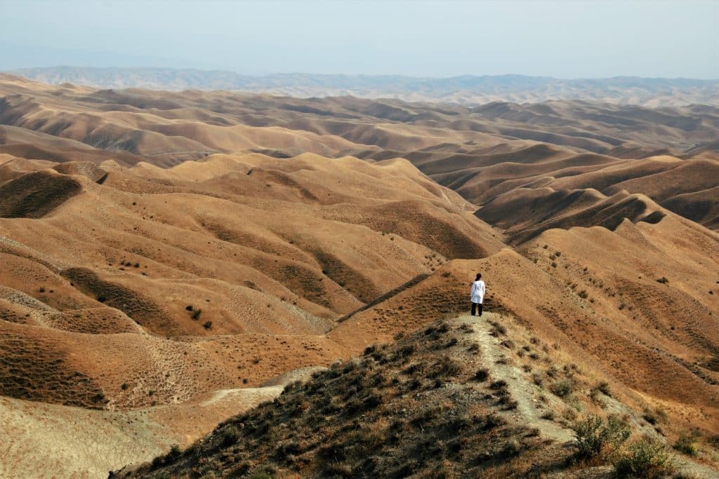 Iran travel info