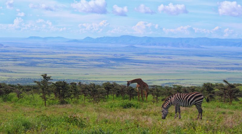Top 5 Places to Visit in Tanzania