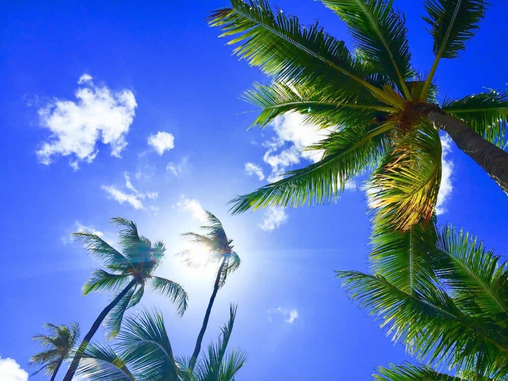 good morning in hawaiian
