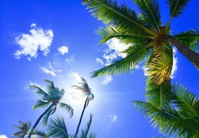 good morning in hawaiian