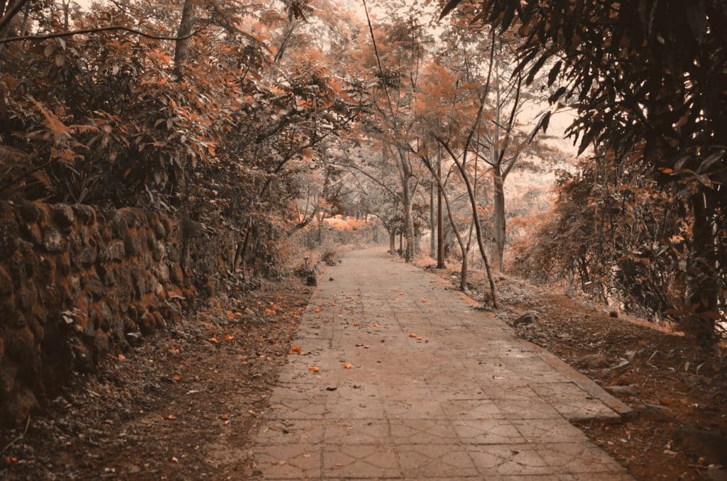 Bahir Dar