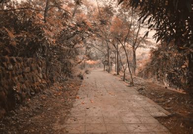 Explore Bahir Dar: A Guide to Ethiopia’s Scenic City Bahir Dar